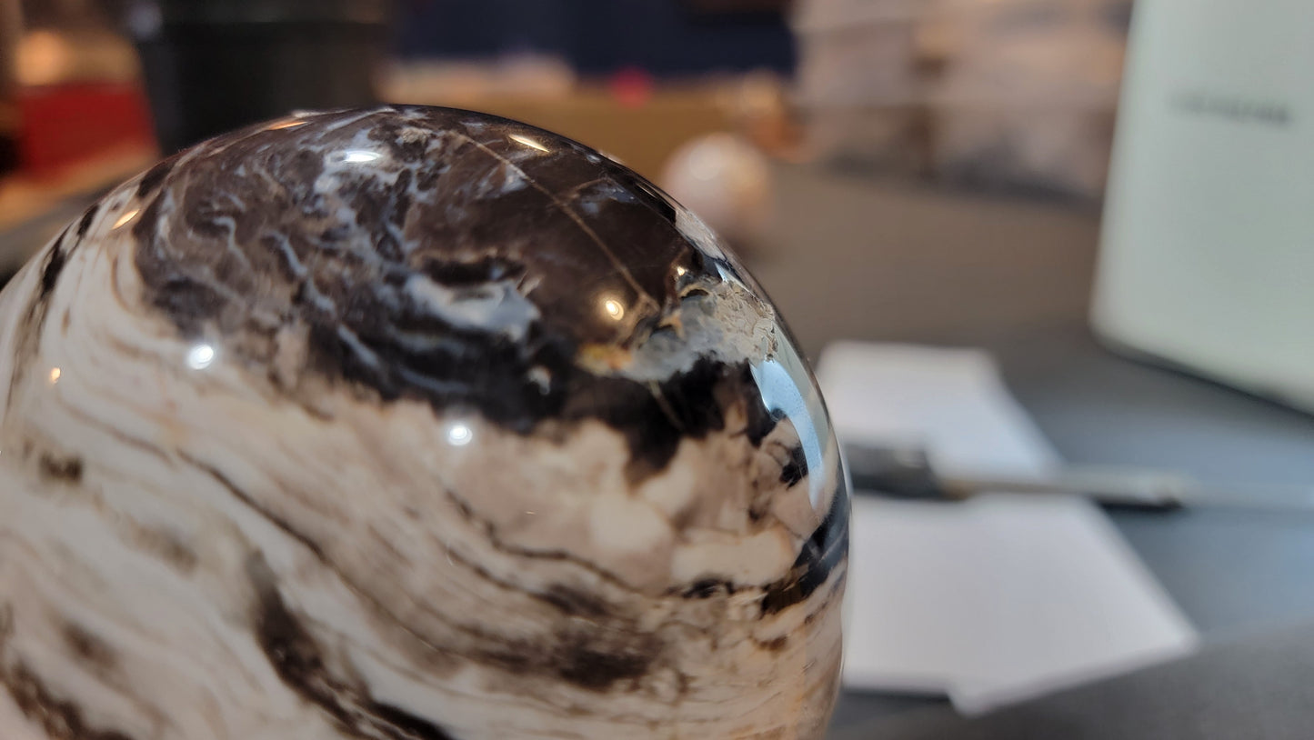 Opalized petrified wood sphere