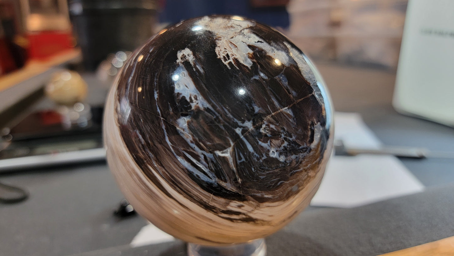Opalized petrified wood sphere