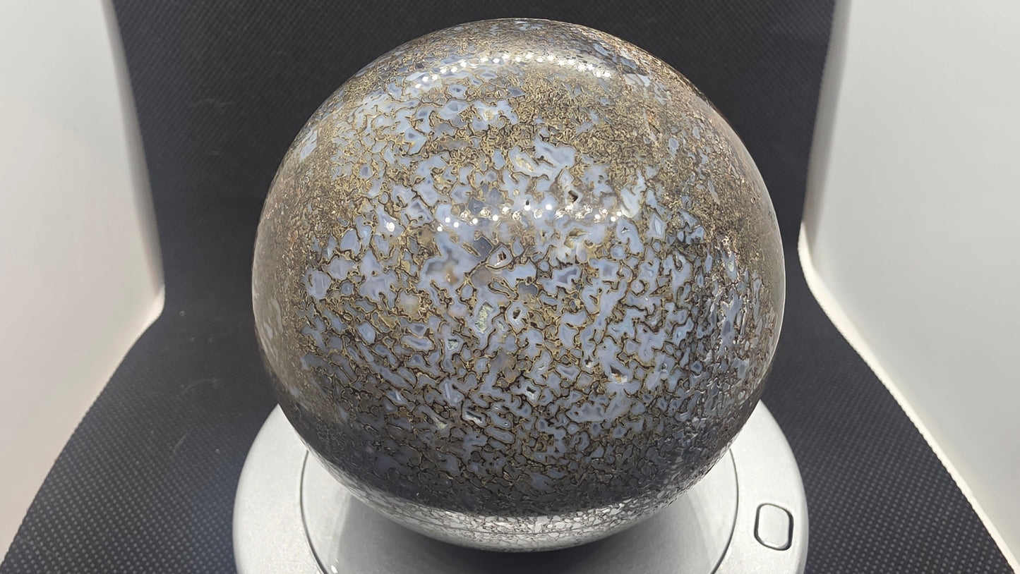 Agatized dinosaur bone sphere