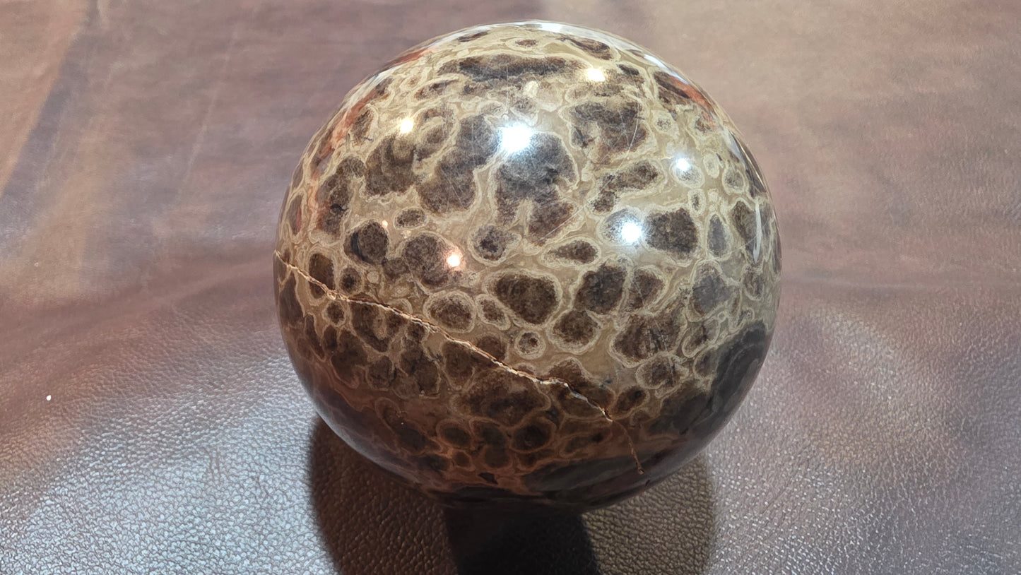 Utah Stromatolite sphere