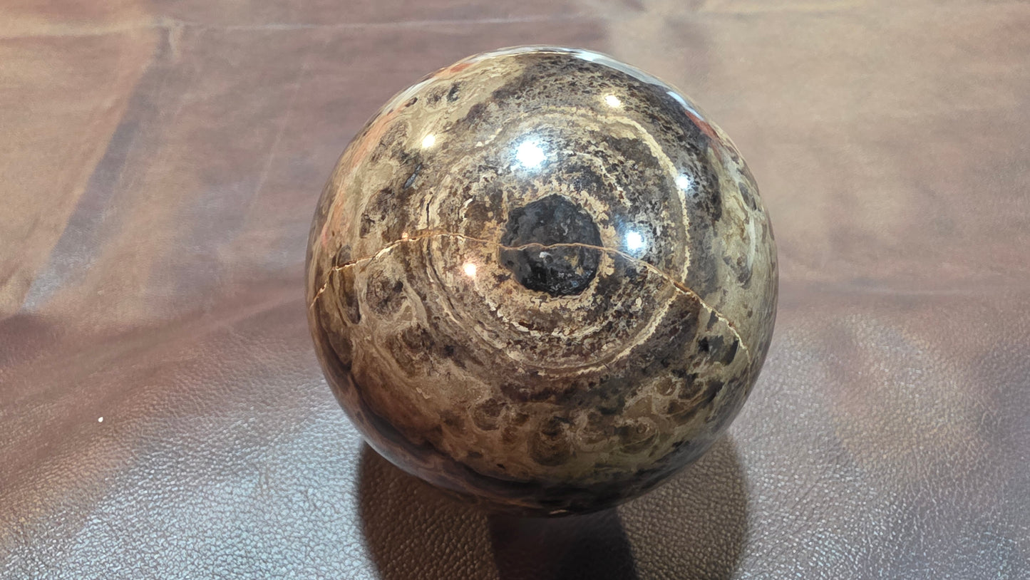 Utah Stromatolite sphere